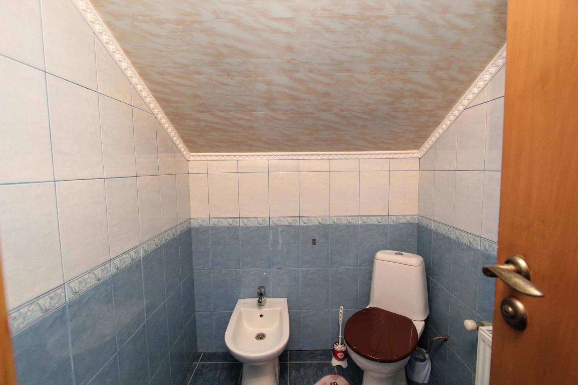 タターリウComplex "Shum Lisu"アパートメント 部屋 写真